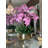 Roberi Orchid Arrangement in Planter-96223303