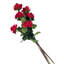 Arrangement floral de roses-220119395