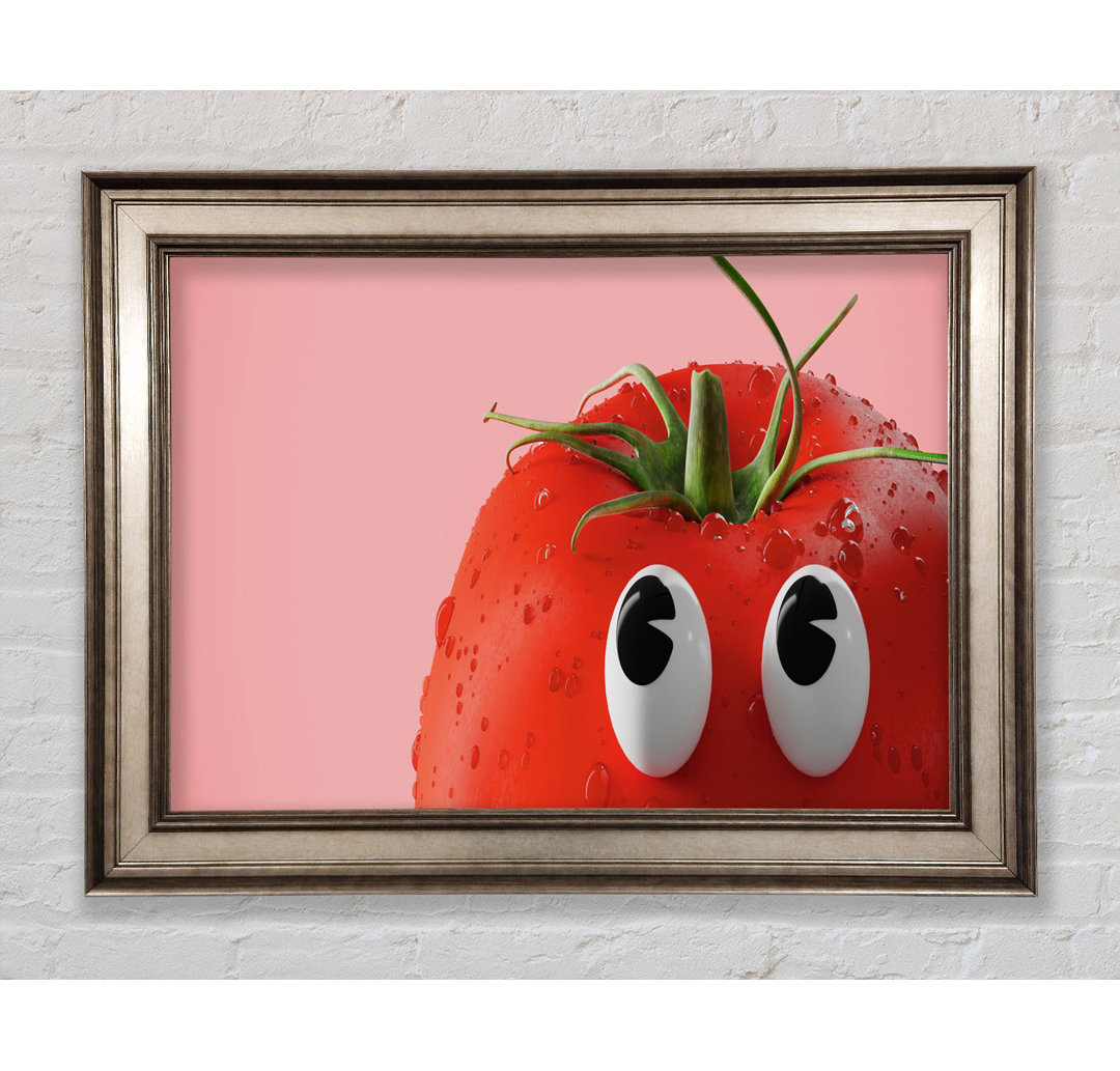 Tomato Stare Gerahmter Druck