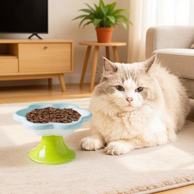 15° Tilted Pet Bowl, Anti-Slip Anti-Overturning, Slow Feeder For Dogs & Cats, Durable Plastic Food Dish