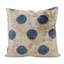 Velvet Square Throw Pillow
