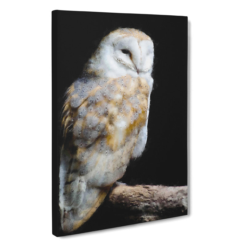 Barn Owl Vol.3 - Wrapped Canvas, 60cm H x 40cm W x 3cm D