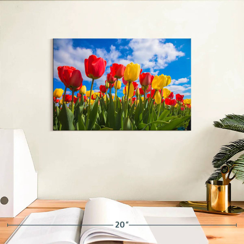 Champ de tulipes Harnek Spring, H 8 po x l 12 po