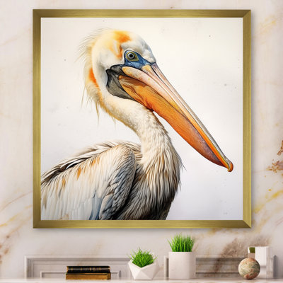 " Majestic Pelican Seabird IV "