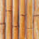 Bamboo 5.88'' W x 11.88'' L Tile