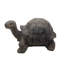 Statue de tortue intérieure Armagh