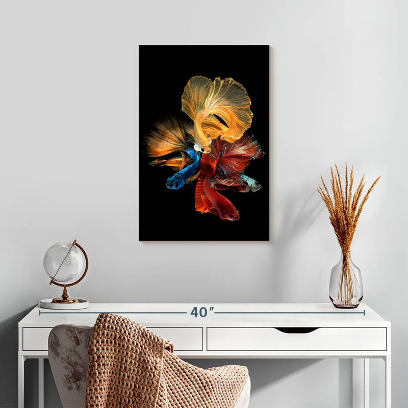 Poissons Betta qui coulent, H 24 po x l 16 po