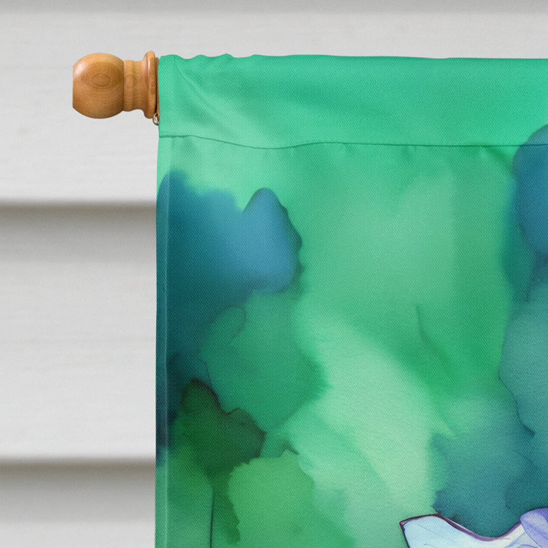 Double Sided 40'' H x 28'' W Polyester House Flag