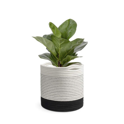 Tillson Handmade Pot Planter