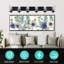Lavada 6 - Light Dimmable Vanity Light-280273207