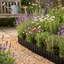12.5 cm H x 600 cm W Border Fencing-133527411