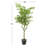 61'' Faux Weeping Fig Tree in Pot