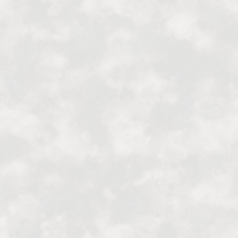 Edgware 10m x 53cm Matte Wallpaper Roll, Grey Glitter
