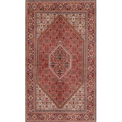 Wool Oriental Indoor Rug