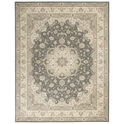 Oriental Indoor Rug