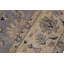 Tapis oriental rectangulaire noué à la main en laine bleu / beige / noir 10 pi 1 po x 13 pi 7 po Baccio