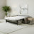 Björgúlfur 81" Genuine Italian Top Grain Leather Queen Sleeper Sofa Bed with Memory Foam Mattress-59137191