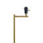 Lampe sur pied en laiton avec abat-jour cylindrique Zenith