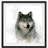 " Rainsoft Wolf "-512342553
