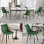 Chattooga Upholstered Dining Chair-101278475
