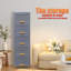 5 Drawer Storage Drawer