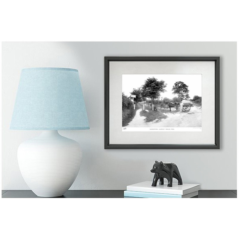 Freefolk, C1965 by Francis Frith - Single Picture Frame Print, 40cm H x 50cm W x 2.3cm D