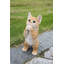 Statue de chaton marbré enjoué