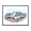 «Vintage Birds in the Wild», impression sur toile-59711239-59780664