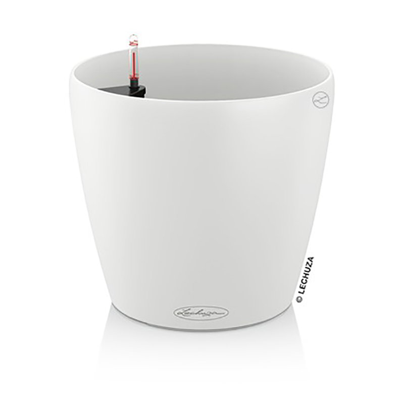 Classico Pot Planter, White, 19 cm H x 17 cm W x 11 cm D
