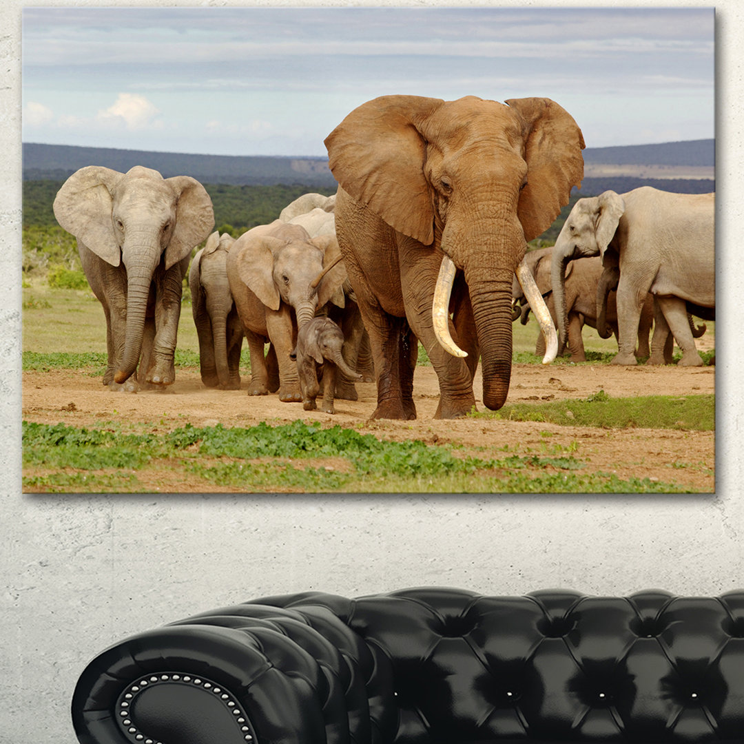 " Large Elephant Herd In Africa " Design Art