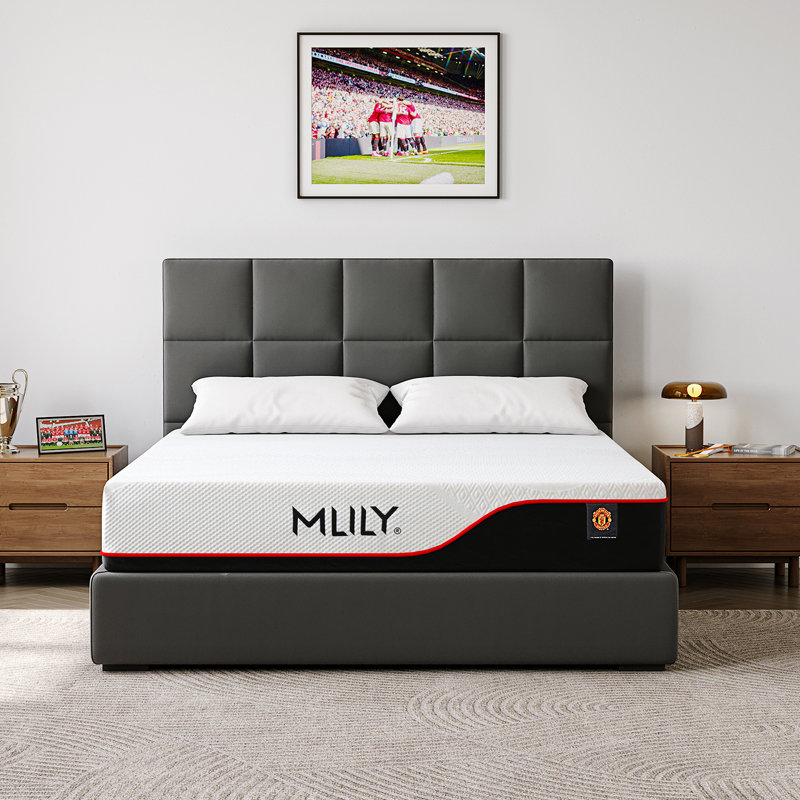 12'' Charcoal Medium Memory Foam Mattress, King