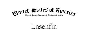 Logo LnsenFin