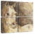 Brampt Impressionism Horse-109133711
