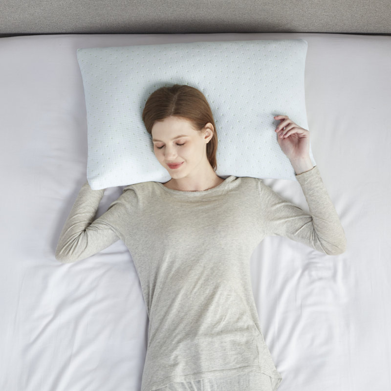 Sleep Philosophy Rayon from Bamboo Shredded Memory Foam Pillow, Queen