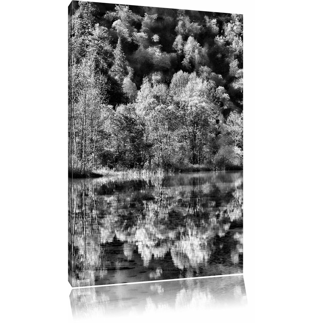 Leinwandbild Herbstlicher Wald am See in Monochrom