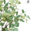 Eucalyptus artificiel CAPHAUS, verdure artificielle résistante aux rayons UV en pot, 4/5/6 pieds-98582177