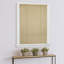 Semi Sheer Vinyl Roll-Up Shade-1791368216-1791368217