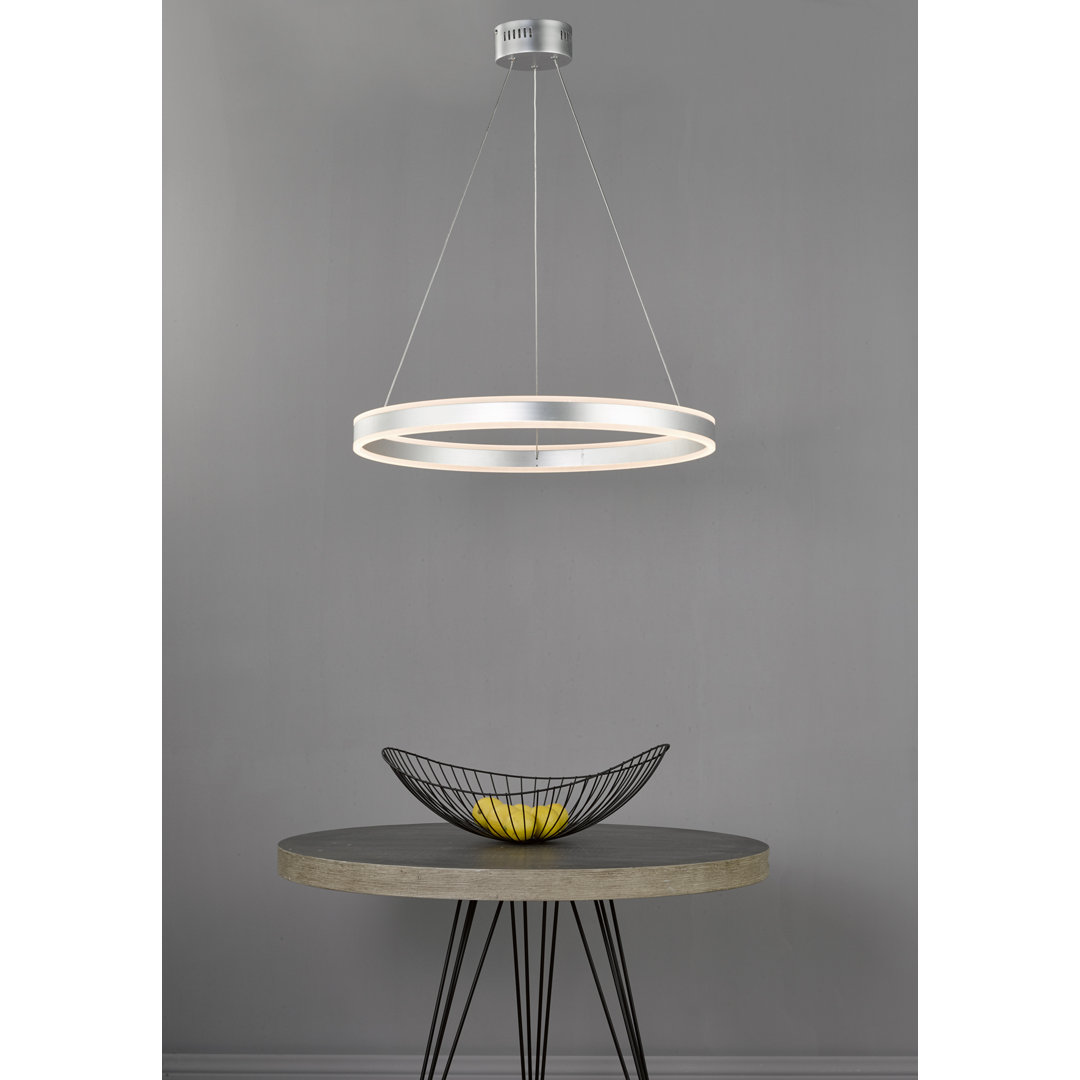 Hamish 1 - Light Novelty LED Pendant
