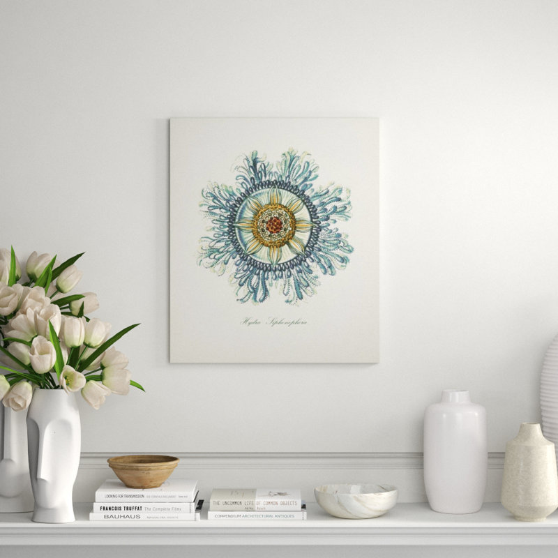 Nautical Art IV Print by Sofia Fox, Matte, 35" H x 30" W x 1.5" D