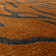 Alaisdair Tiger Animal Print Orange Area Rug
