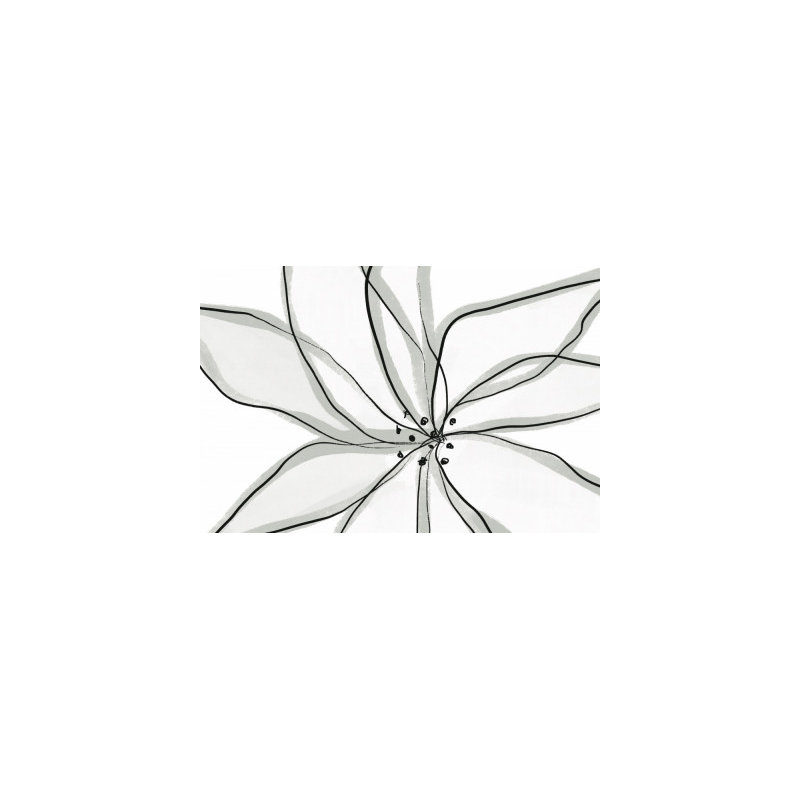 Wrapped Canvas Print, 50.8 cm H x 76.2 cm W