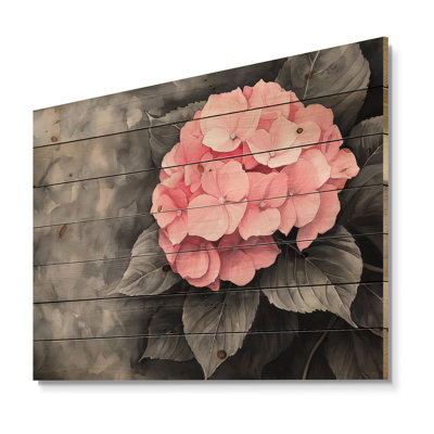 Hydrangeas With A Soft Rose Bloom III - Hydrangea Wood Wall Art - On Natural Pine Wood
