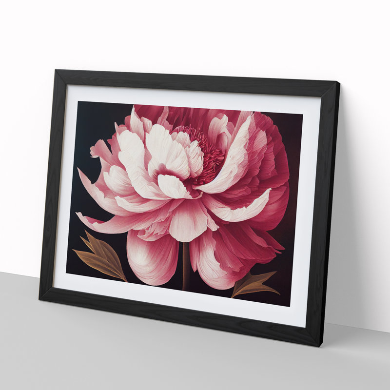 Tremendous Peony Flower - Single Picture Frame Print, 46cm H x 64cm W x 2cm D, Black