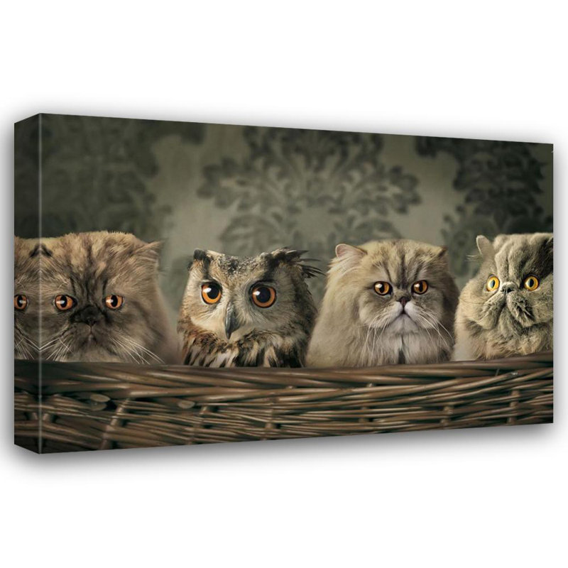 Chats et hibou dans un panier, H 32 po x l 48 po
