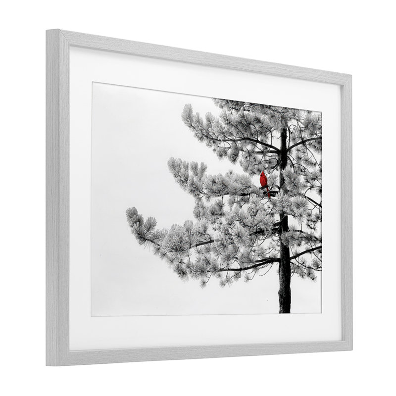 «Cardinal in Stark Winter Tree», reproduction sous verre encadrée, design par Steve Toole, H 17 po x l 23 po
