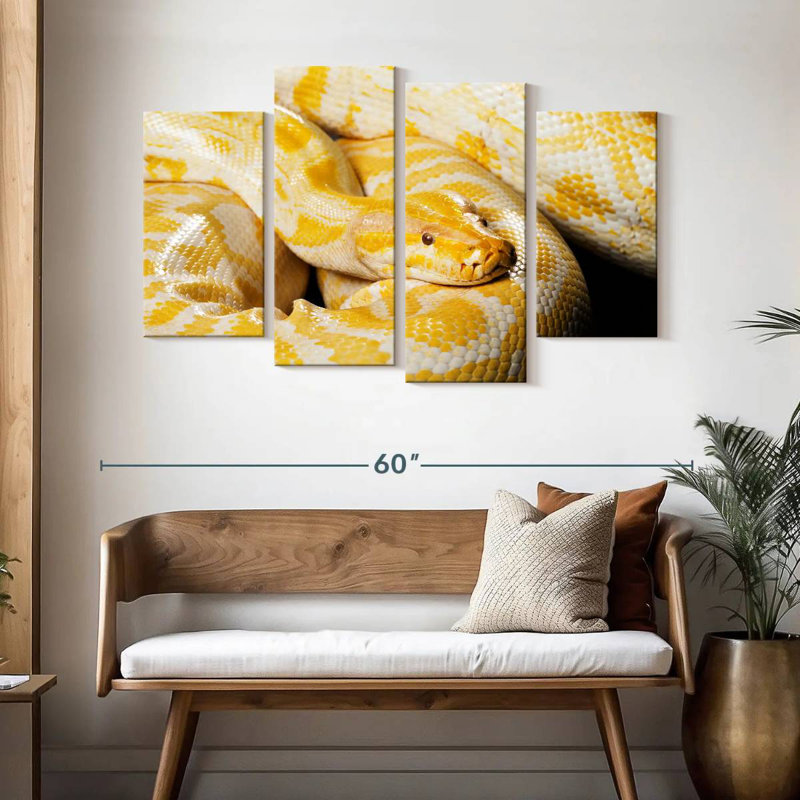 Brampt Albino Burmese Python, 32" H x 52" W