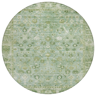 Machine Washable Indoor/Outdoor Xhevrie Aloe Rug