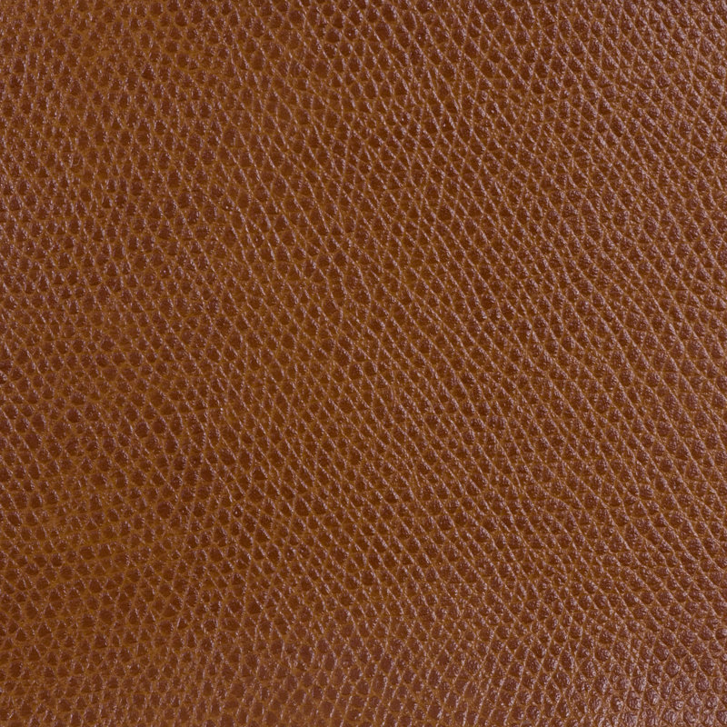 Ophidian Fabric, Saddle