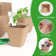 Biodegradable Peat Nursery Pots Square 3 Inch With Labels, 150 Pieces For Seed Starting And Outdoor Gardening