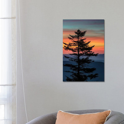 USA, West VIrginia, Blackwater Falls State Park Tree And Landscape At Sunset by Jaynes Gallery - Wrapped Canvas Print
